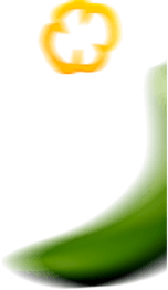 Shape