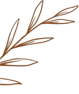 coffee-house-one-shpae
